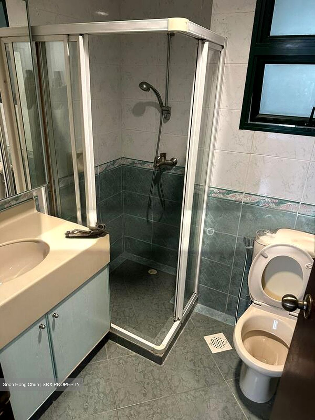 Hillview Green (D21), Condominium #501628821